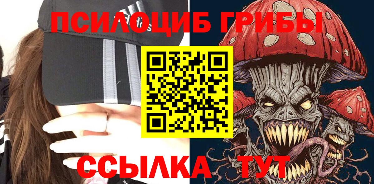 Сосновый Бор  Галлюциногенные грибы Magic Shrooms  Вход с VPN  Псилоцибиновые грибы Psilocybe 