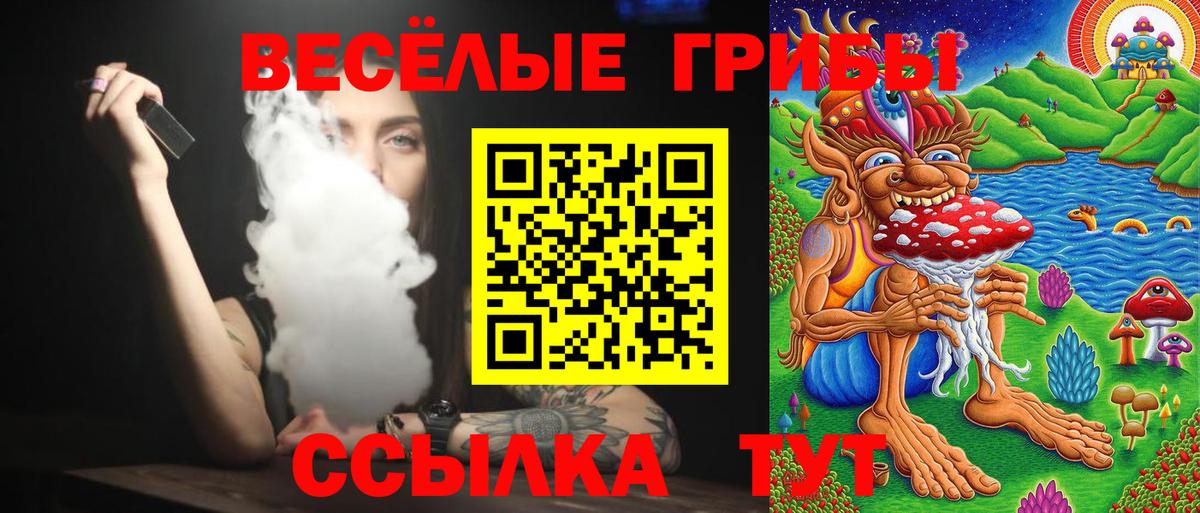 Псилоцибиновые грибы GOLDEN TEACHER Сосновый Бор